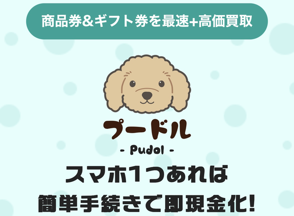 プードル-Pudol- 先払い買取業者のサービス情報