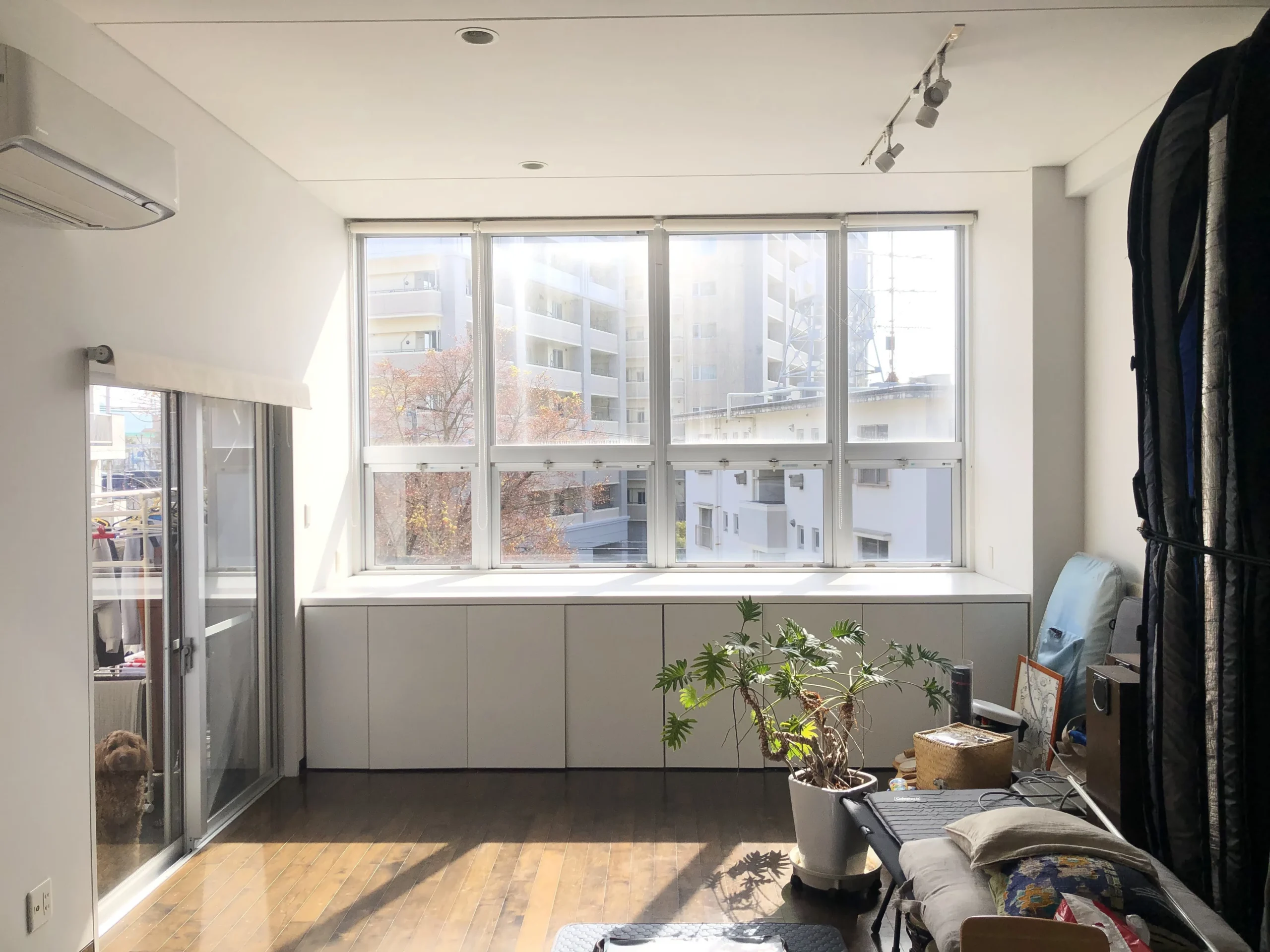日差しが差し込む部屋