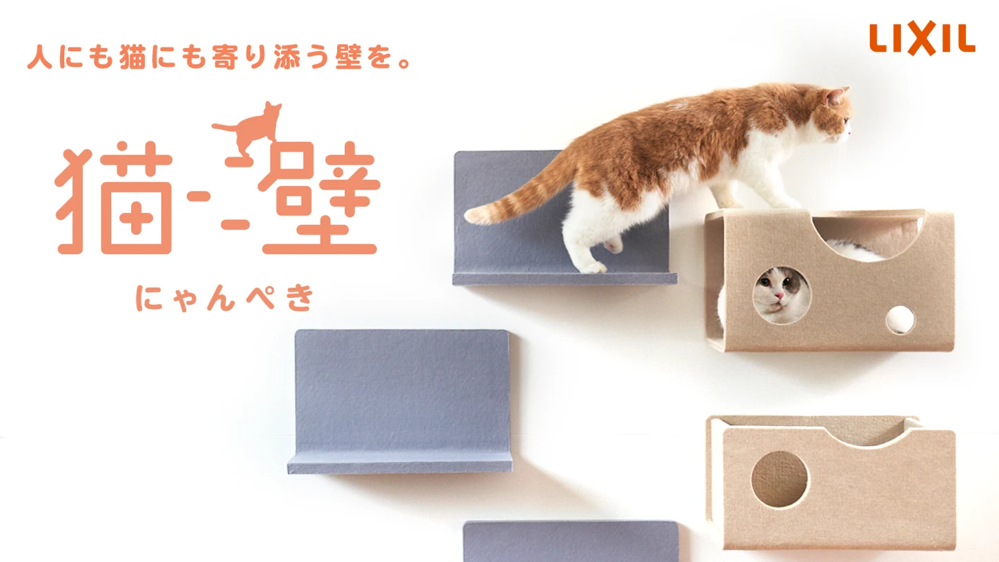キャットウォーク