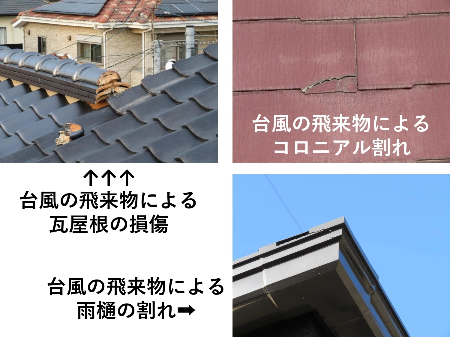 プレゼンテーション1_page-0002