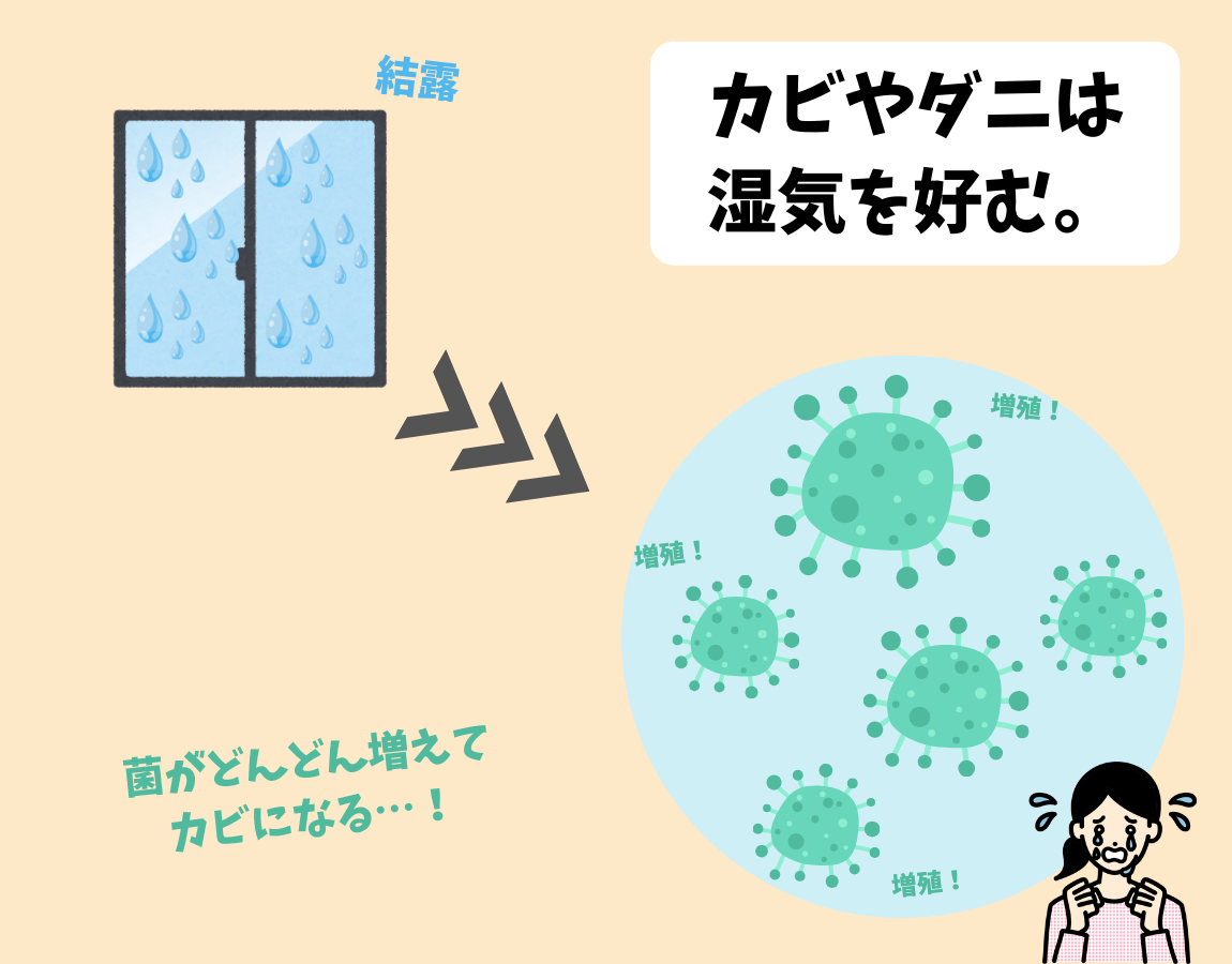 ダウンロード (9)