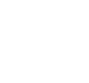 logo_wht